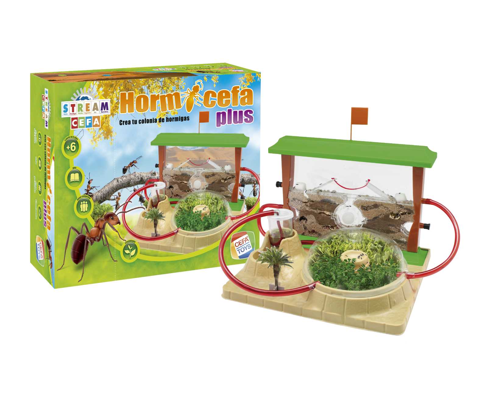 HORMICEFA 21851 @