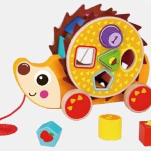 ROMPECABEZAS ERIZO TKE011 <