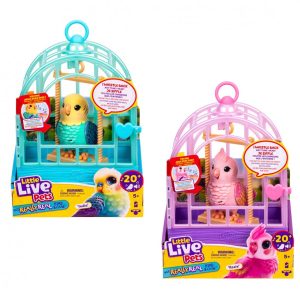 LLP PAJAROS PARLANCHINES 26683