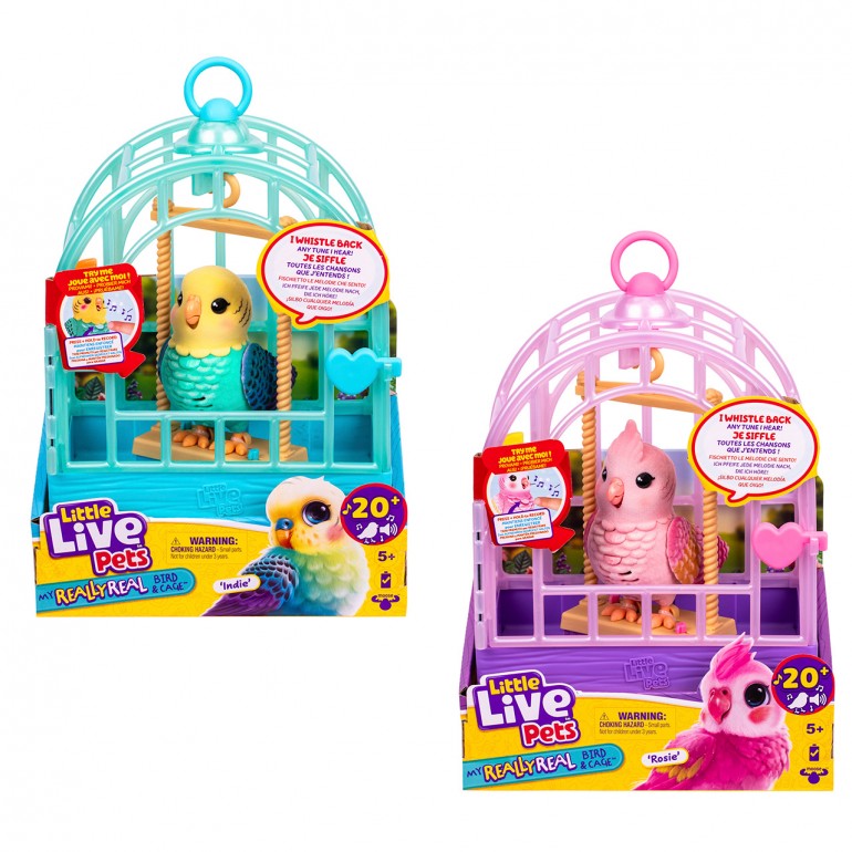 LLP PAJAROS PARLANCHINES 26683