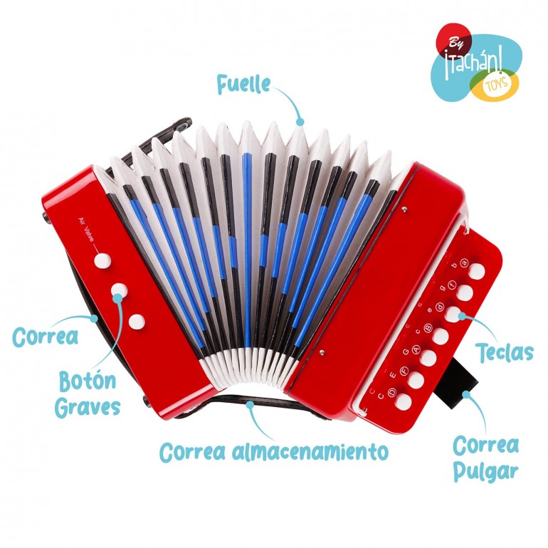 ACORDEON CONSERVATORIO 790T00687 - Imagen 2