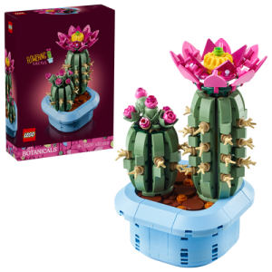 CACTUS EN FLOR 11509